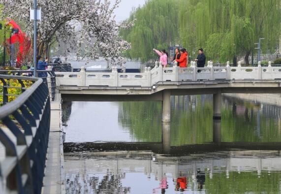 La vue du printemps est pittoresque, la rivière Gongshang centenaire de Jinan ouvre le mode 