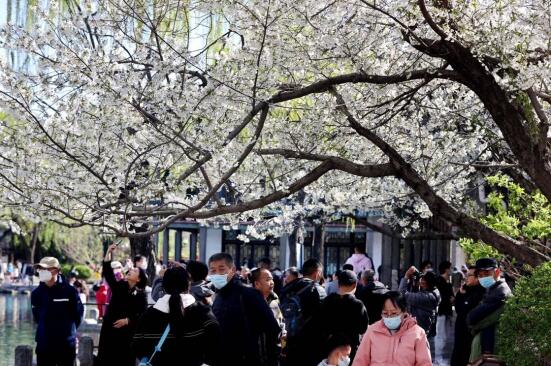 Über 50 Veranstaltungen: Der Frühling in Jinan lädt zum Ausflug ein!