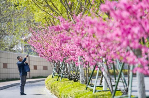 Der Frühling kommt in der Quellenstadt an