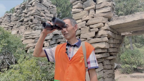 “济南好人”张传林：大峰山林场的“守护者” 20多年绕地球走了5.5圈
