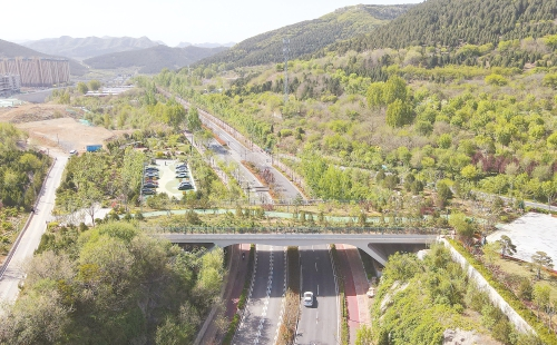 Ökologische Brücke am Fohu Berg erstrahlt in lebhaftem Grün