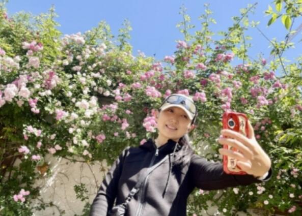 Blühende Rosenblumen im lebhaften Frühling