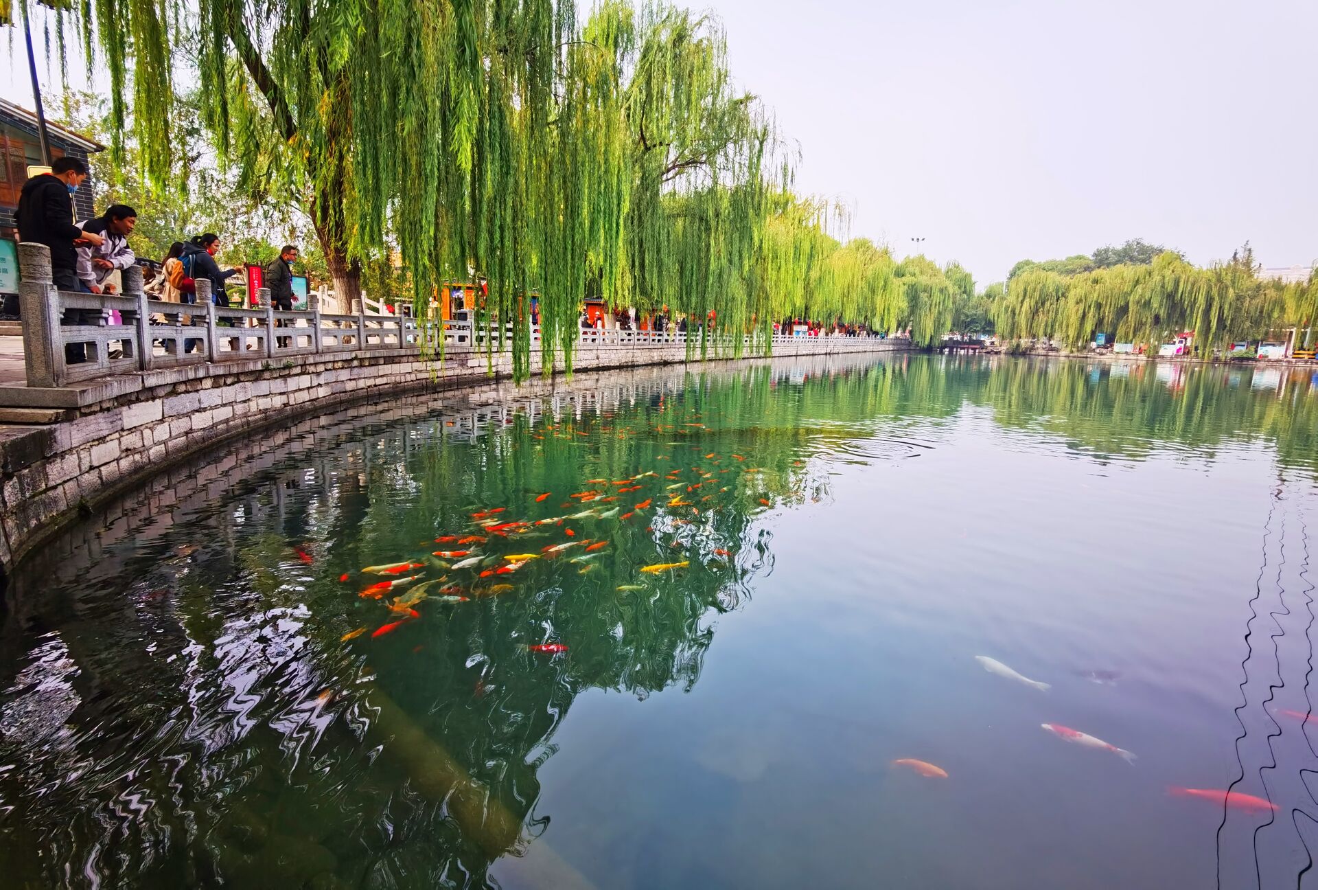 向“美”而行！山东力争率先全域建成“无废城市”