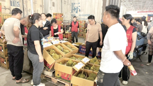 部分地方榴莲价格腰斩