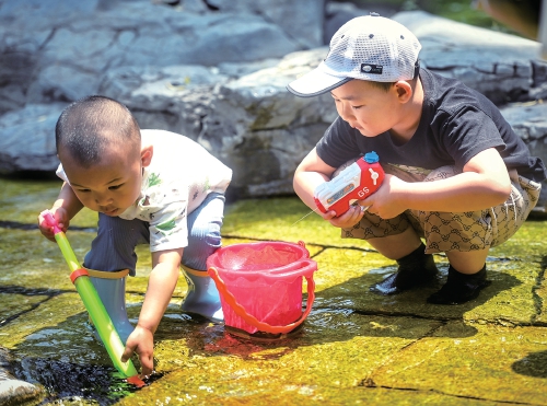 泉城入夏日 戏水正当时