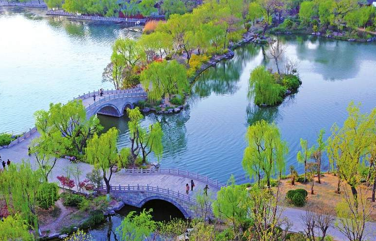 项目强省会｜推进“类海外”环境建设 织密天下“朋友圈”