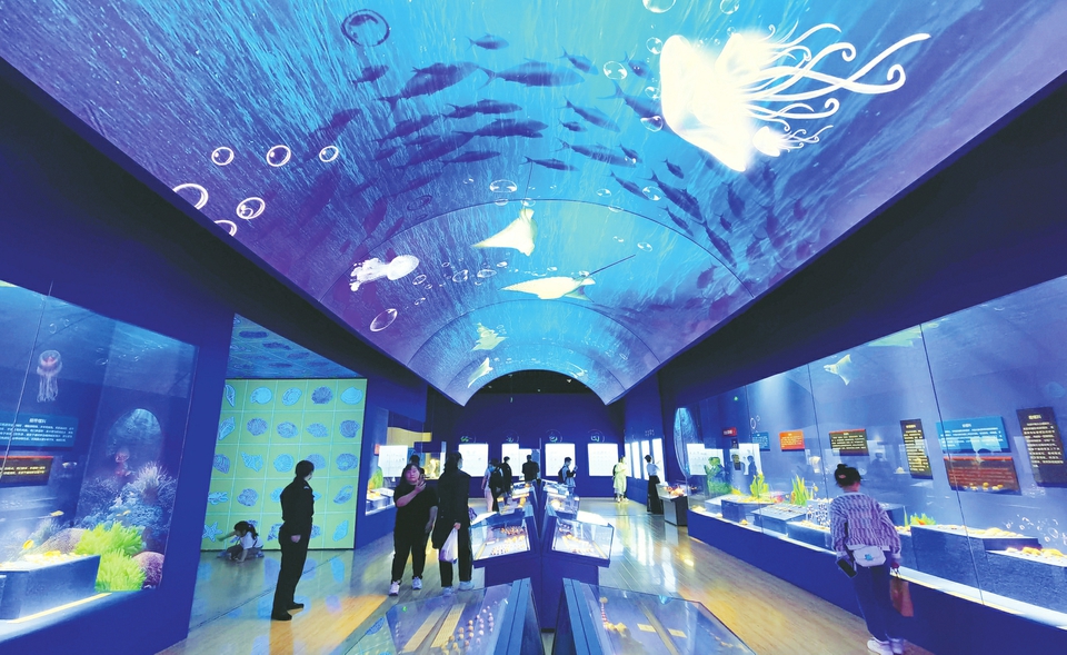 博物馆日活动丰富多彩！济南博物馆建设迈向更高层级