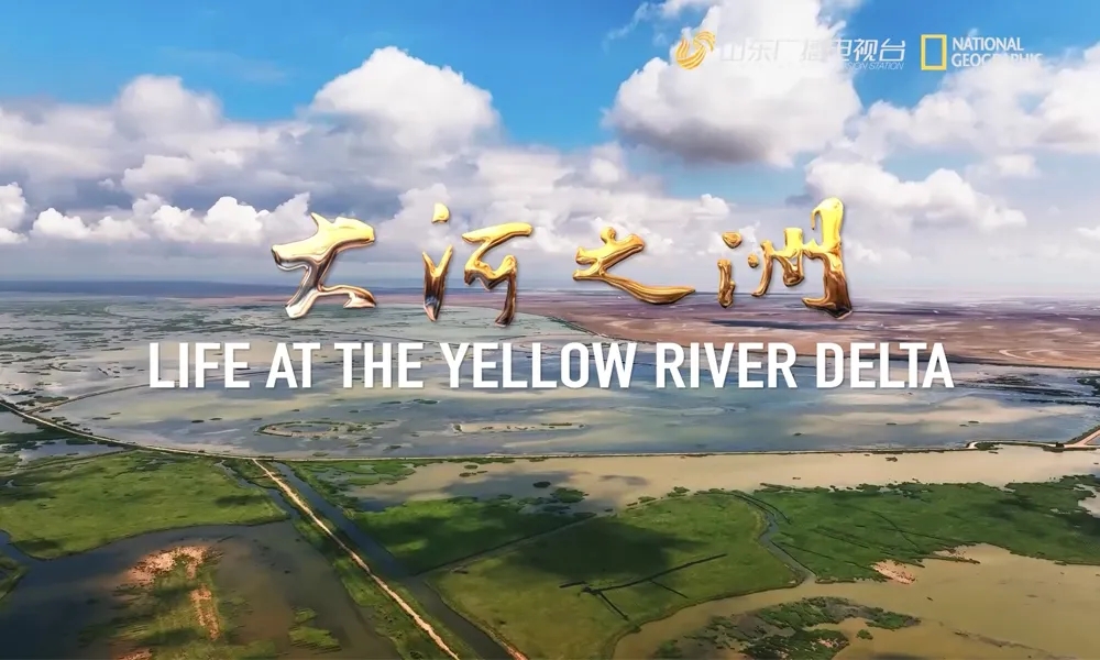 【2023山东双百音视频类评论】为现代社会的精神文明建设提供有力支撑