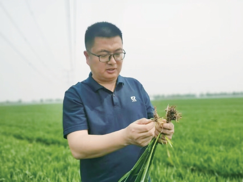 济南85后遗传学硕士弃高薪工作回乡，助村民增收致富