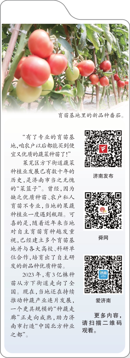 融媒·见证丨自主研发新品种已落地！每年3亿株种苗从这里发往全国—济南有棵“好苗子”