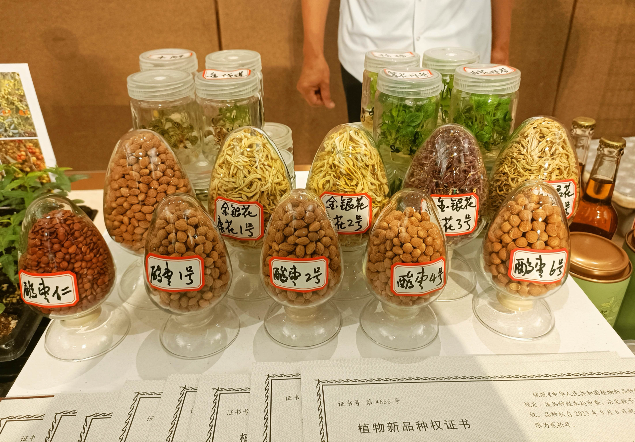 济南市2024农业科技成果推介会成功举办