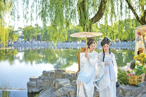 雨后“翻开”夏日画卷 老街巷遇见诗意浪漫