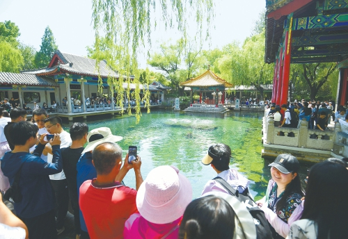 Journée rafraîchissante, joyeuse visite de Quancheng