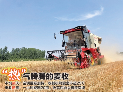 济南：“热”气腾腾的麦收