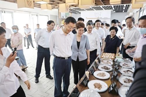  On site promotion meeting for urban renewal and rural revitalization of the whole city visited Licheng District, Zhangqiu District, Laiwu District, Gangcheng District, Liu Qiang, Han Jinfeng, Lei Jie, Yang Feng, Haidian, participated in the activity