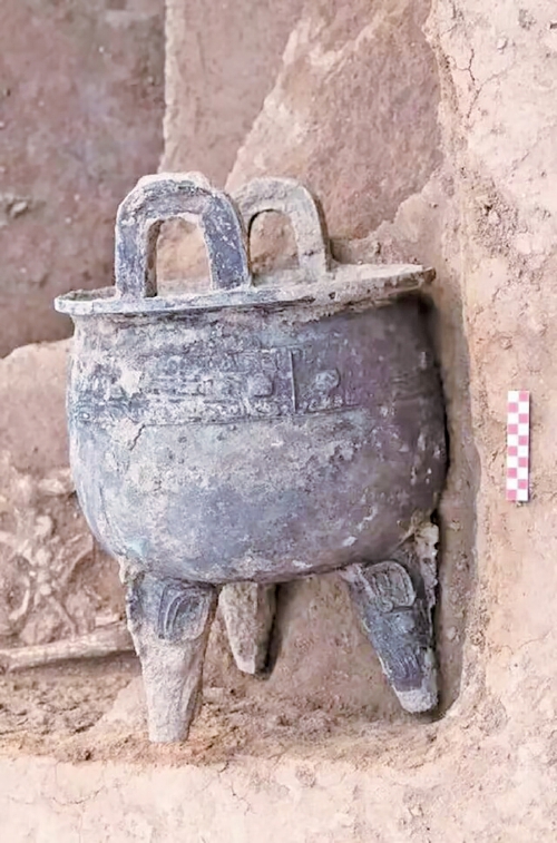 大辛庄考古遗址公园迎来重大进展，项目占地面积约11.45公顷