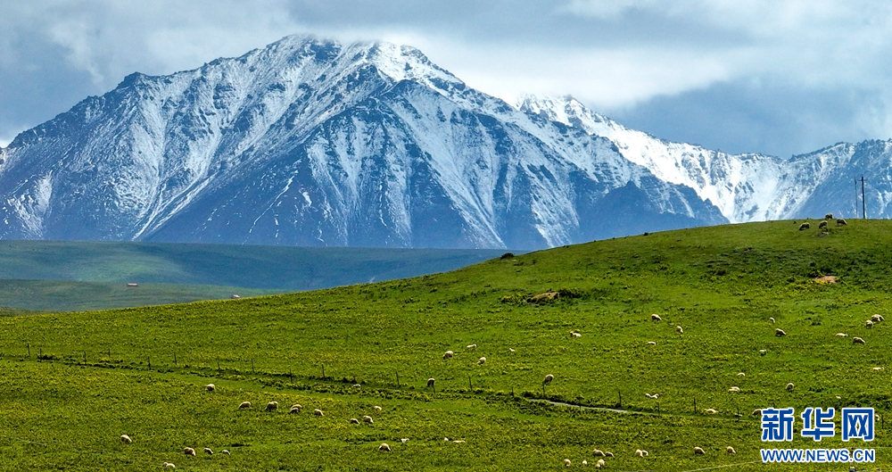 中 간쑤성 쑤난, 한여름 치롄산의 ‘자연색’