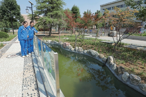 济柴动力持续做好中水处理 “游鱼戏水”折射生态建设水准