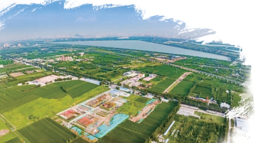 凝聚高质量发展动力 赋能“智慧无声”服务！济南水务集团“双融双促”构建党建与业务融合生态 