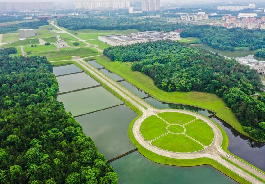 천연 산소 카페처럼 보이는 이곳, 중의약 공장이었다고?