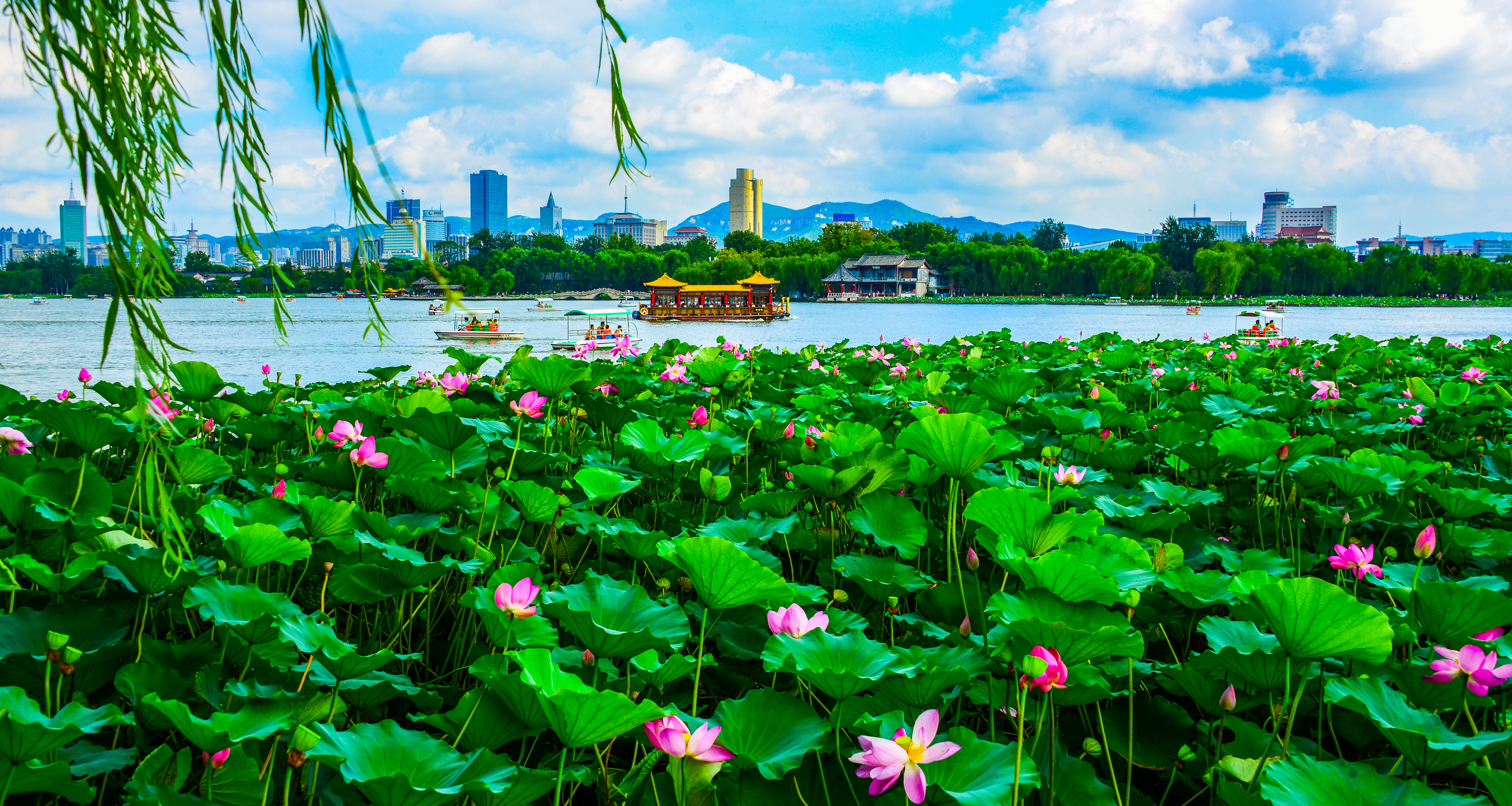 “泉”在济南过暑假 | 这个暑假，在济南开启“嗨”夏模式