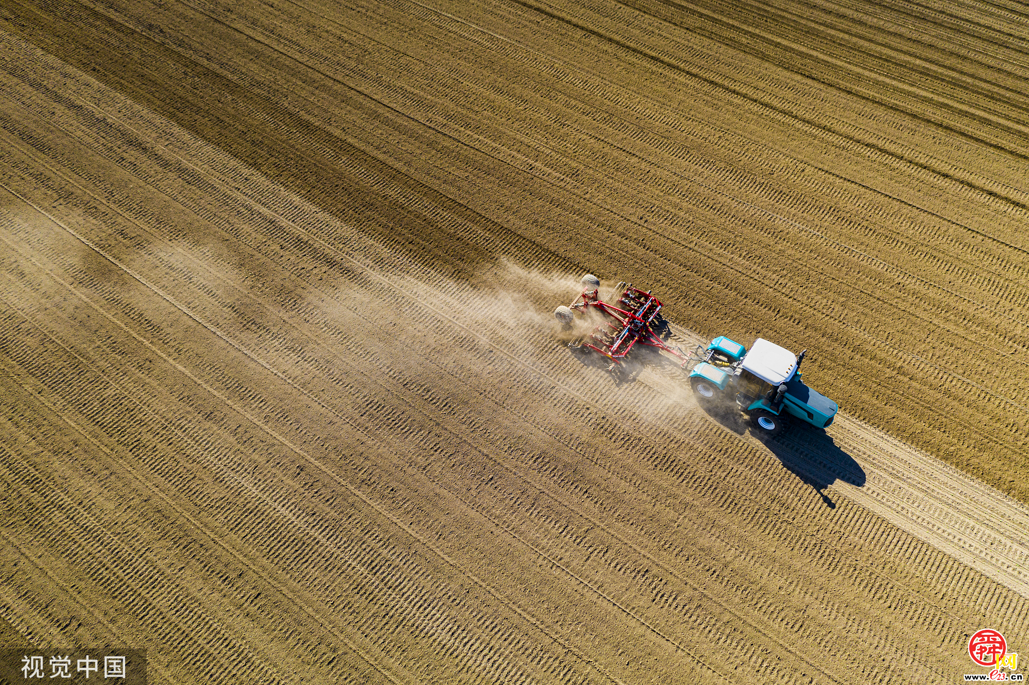 山东重点打造六大粮食单产提升引领区