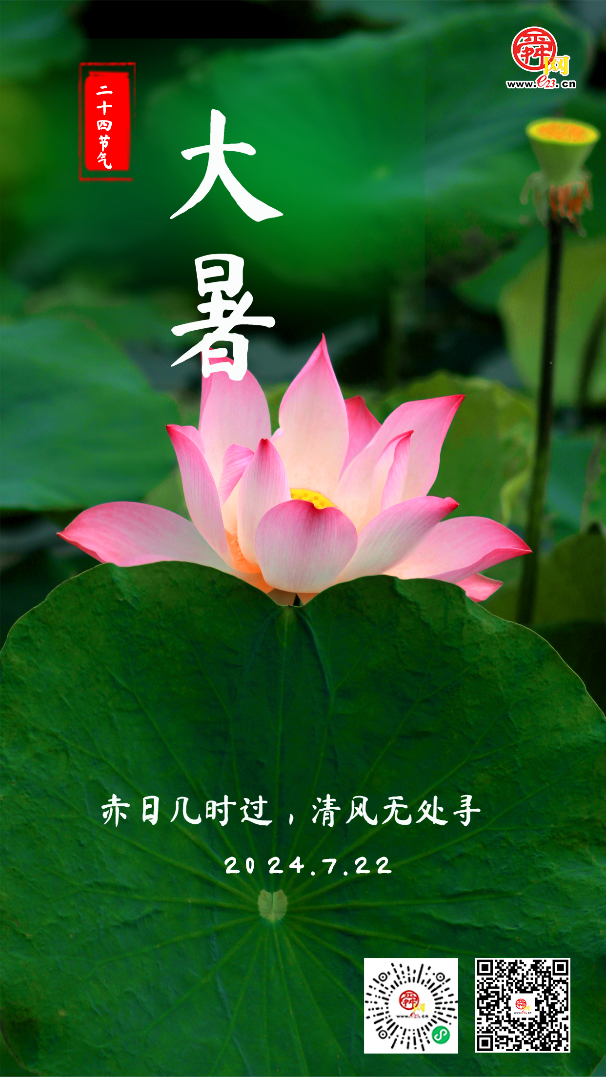 二十四节气 大暑