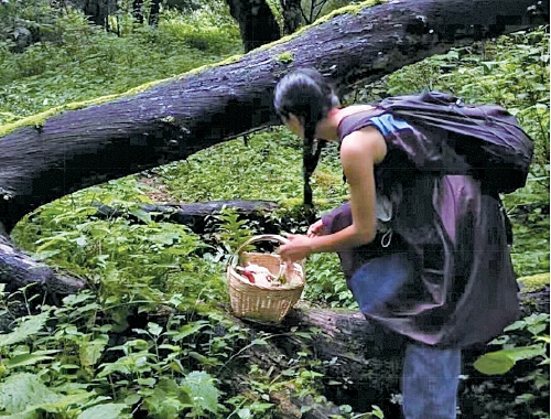 深度旅游暑期出圈 菜市场游、潮店游等多玩法挺火