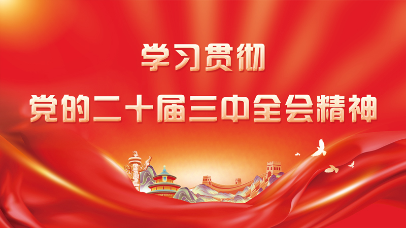 以经济体制改革为牵引 统筹各领域改革落实——三论深入学习贯彻党的二十届三中全会精神