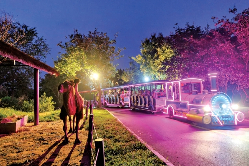 越夜越精彩!在济南夏夜的N种打开方式