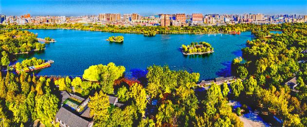 推动传统文化与市场经营深度融合 看“非遗转化”民营企业家如何迎难而上