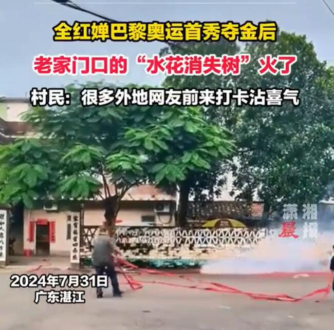 冲上热搜！全红婵老家门口的“水花消失树”火了 变身网红打卡点