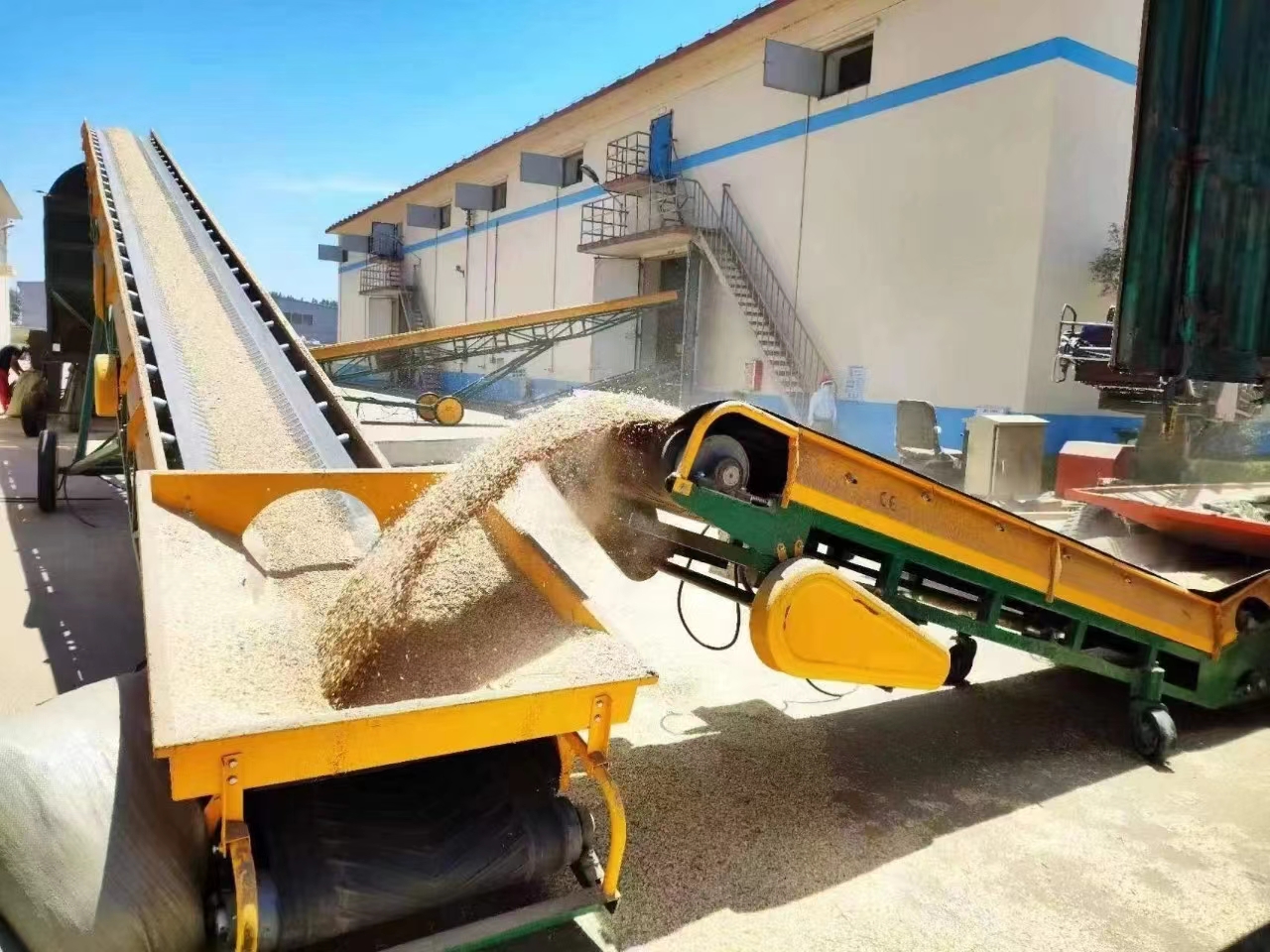 潍坊市银行业：以“新质生产力”绘就 乡村振兴好“丰”景