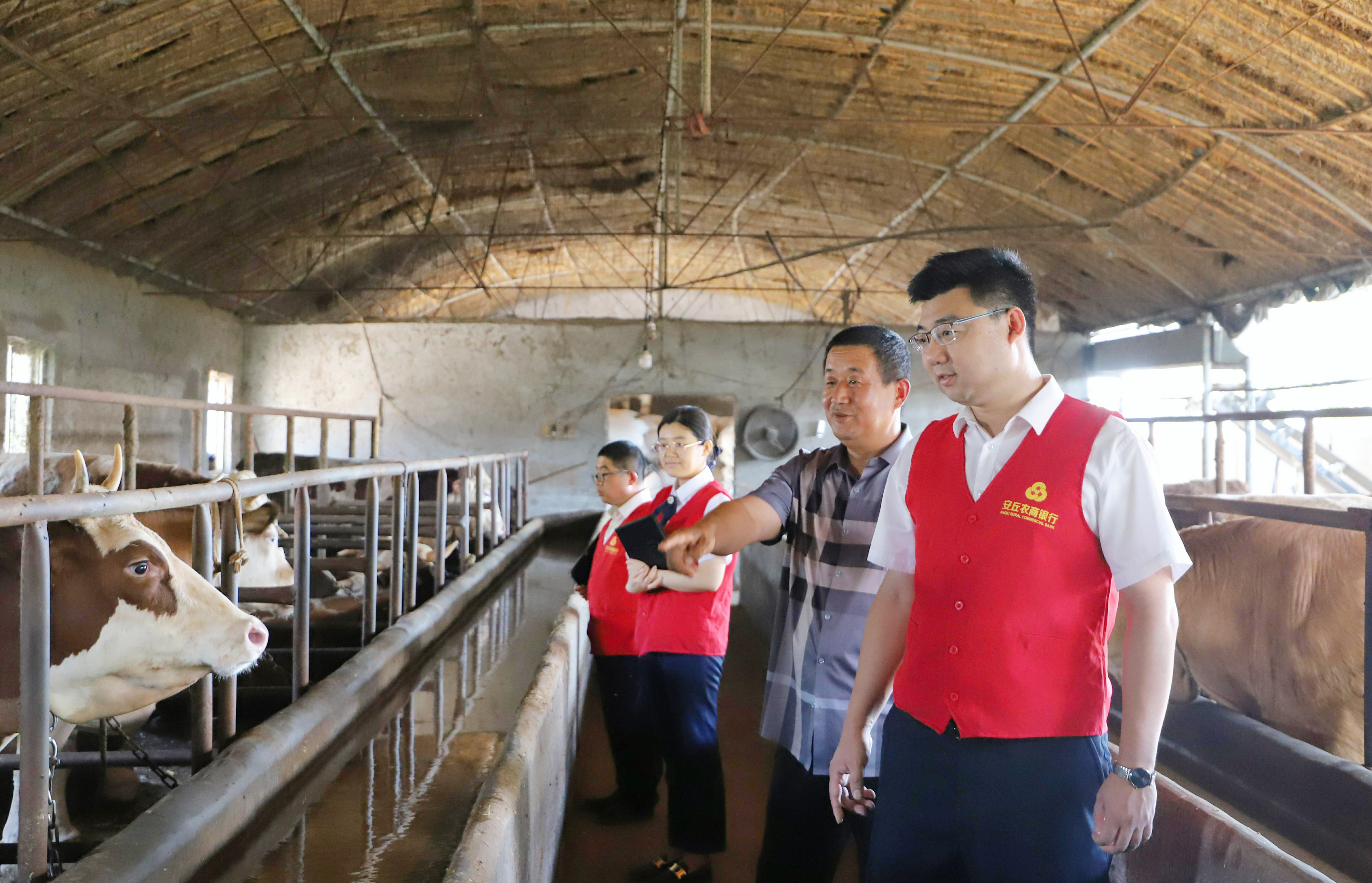 潍坊市银行业：以“新质生产力”绘就 乡村振兴好“丰”景