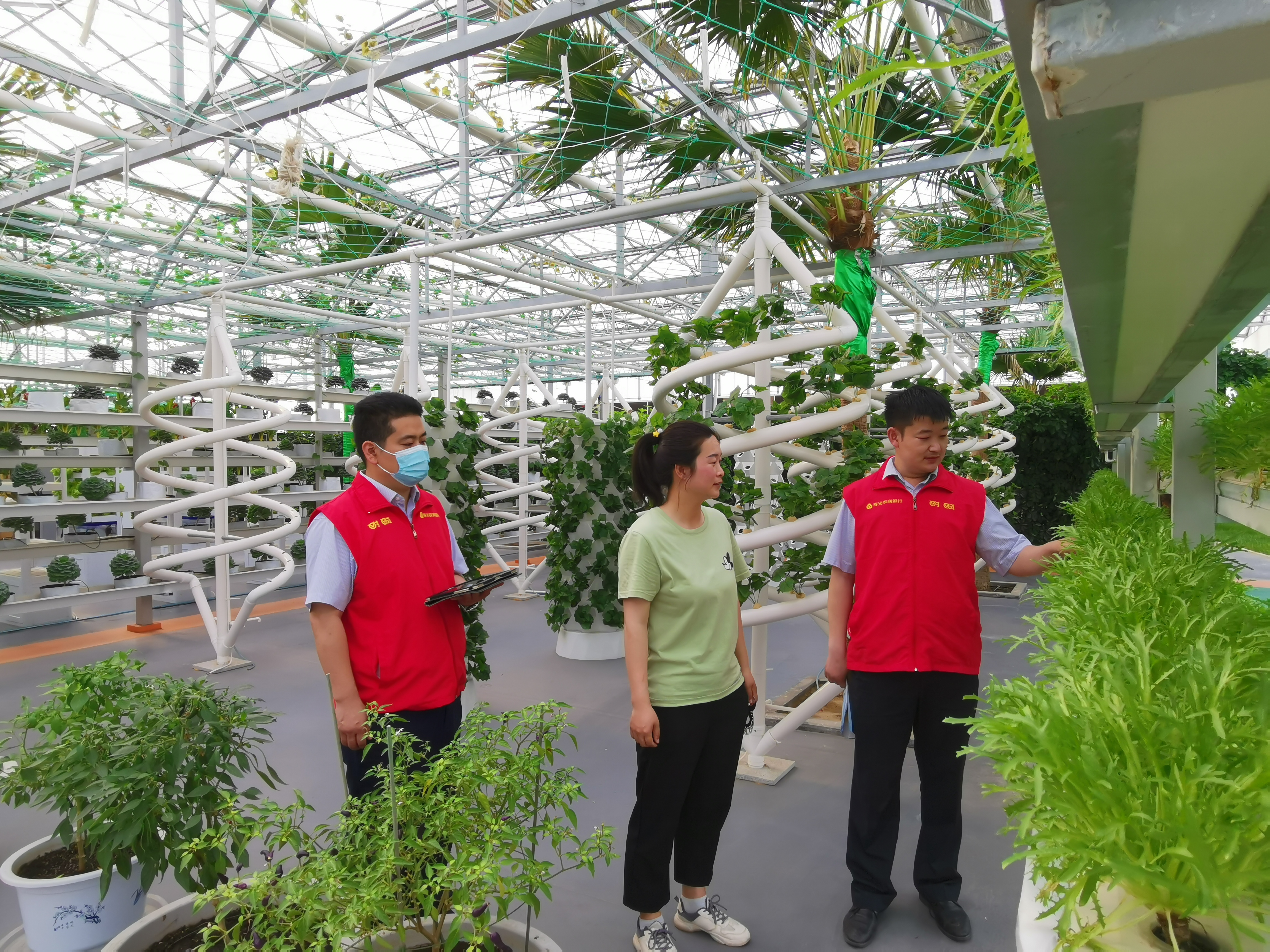 潍坊市银行业：以“新质生产力”绘就 乡村振兴好“丰”景