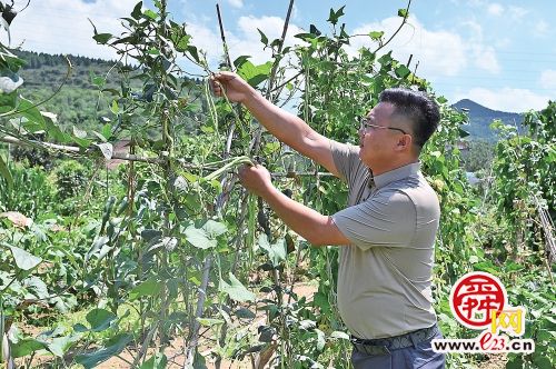 济南：农场里来了个“城里娃”