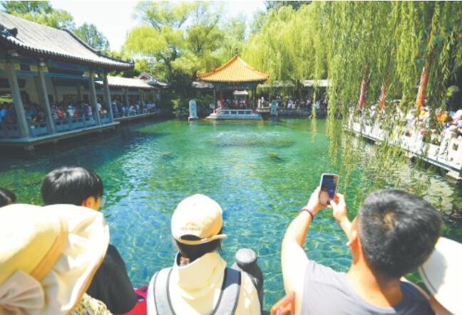 “泉”在济南过暑假｜水位“十连涨”！济南“趵突腾空”胜景重现