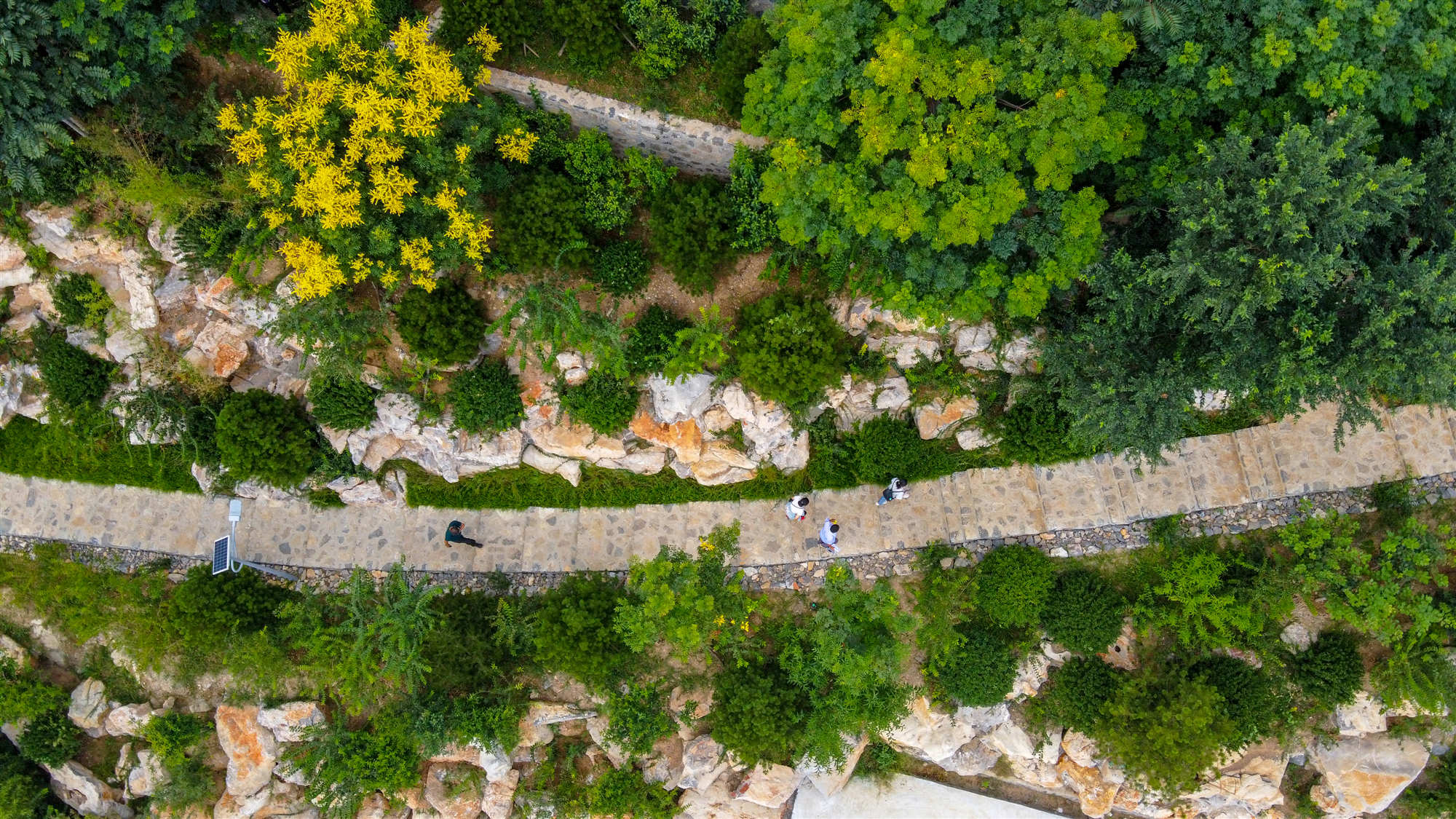 济南市导游协会开展夏日导游关爱行动