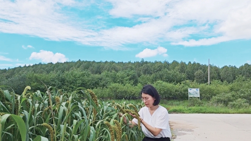 第一书记话“振兴” 济南各区县传好“接力棒”续写新篇章