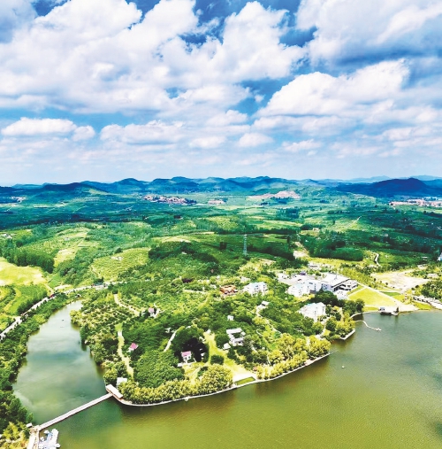 “桃花岛杯”青少年文化艺术节本周五等你来