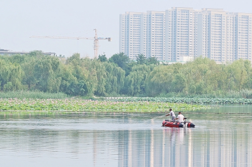 融媒·先锋丨“人水和谐”的画面中，有一支水生态监测党员先锋——一条刀鲚的洄游之旅