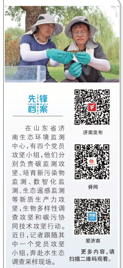 融媒·先锋丨“人水和谐”的画面中，有一支水生态监测党员先锋——一条刀鲚的洄游之旅