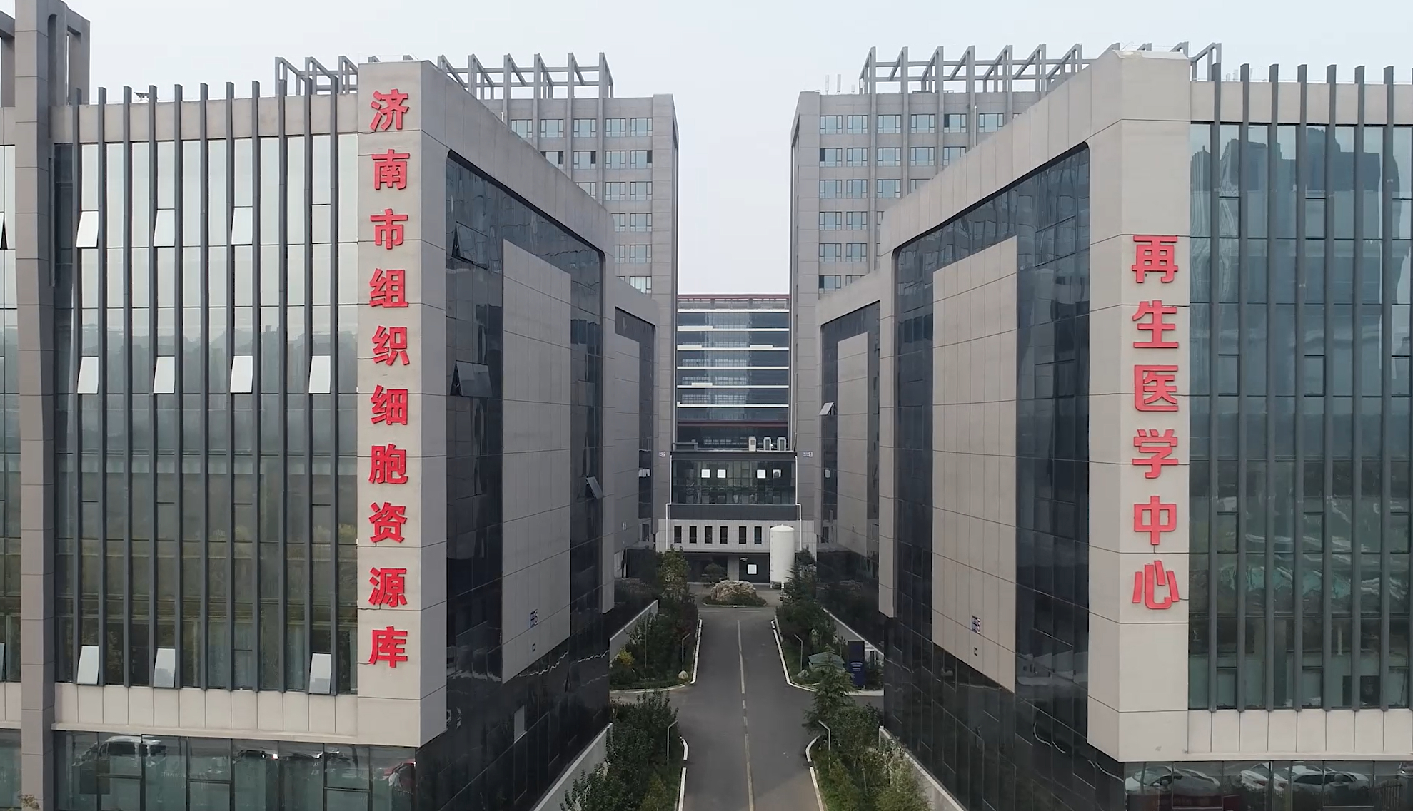 融媒·画像丨济南这个研发团队，为患者造出仿真“皮肤”——“生”皮