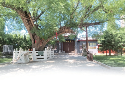 范仲淹：春满百花路