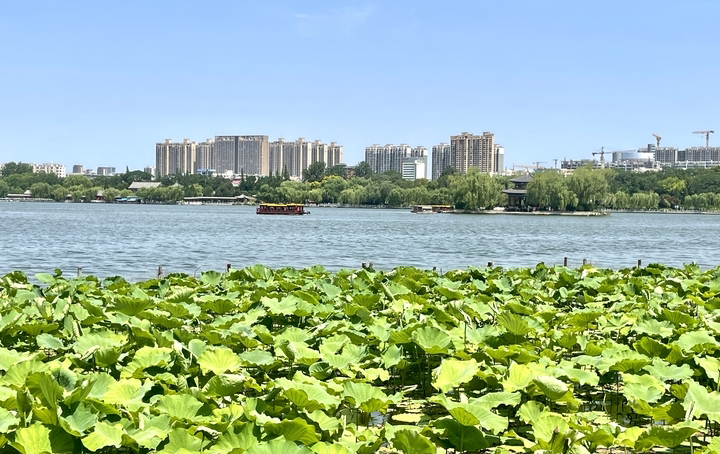 济南周边游热度全国第六，入境游订单大涨40%