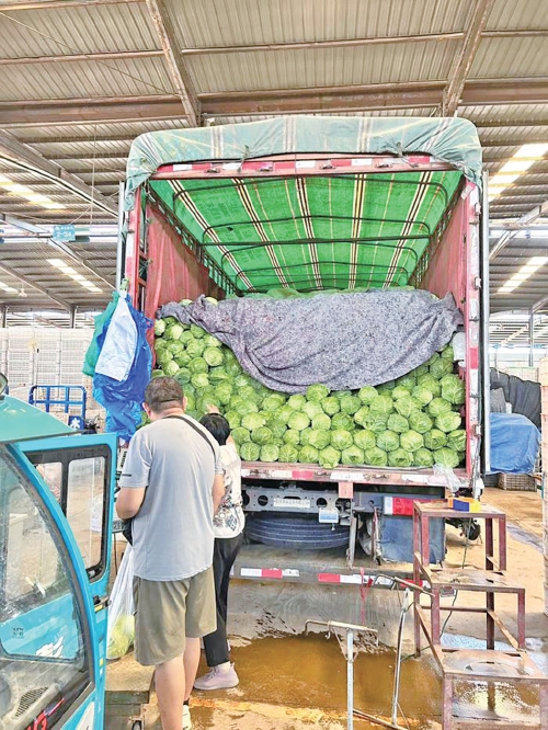 15种菜均价降近一成，黄瓜芹菜最亲民