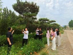 守护千年活化石 焕新古韵青春行