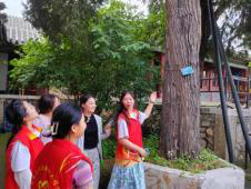 守护千年活化石 焕新古韵青春行