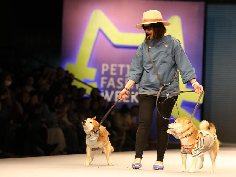 자식 같은 댕댕이에 월 30씩 쓴다...팽창하는 中 펫코노미