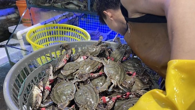 “泉”在济南享金秋｜节日里的“抢鲜战” 济南海鲜市场消费火热　有商户一天卖出两三千公斤